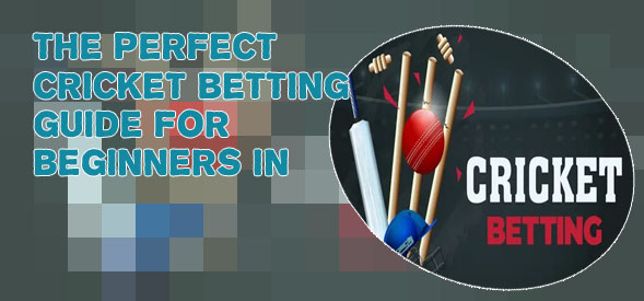 Cricket betting tips expert for India