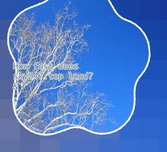 Sky247 branches
