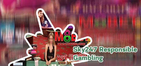 Sky247 casino cheat