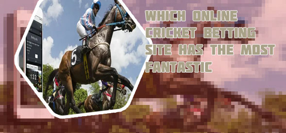 Sky247 horses betting